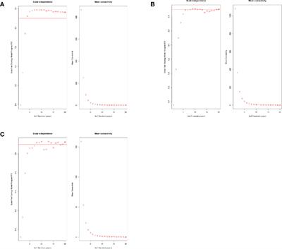 Developing a lncRNA Signature to Predict the Radiotherapy Response of Lower-Grade Gliomas Using Co-expression and ceRNA Network Analysis